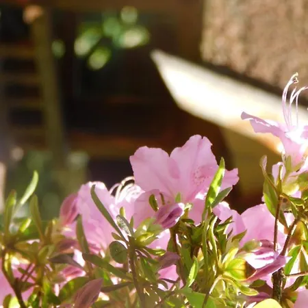 Διαμέρισμα Behling Am Schufutsberg *