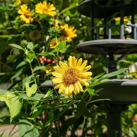 Behling Am Schufutsberg