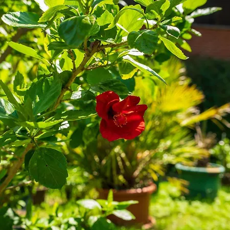 Behling Am Schufutsberg Διαμέρισμα