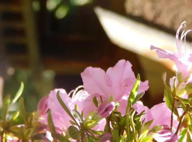 Apartmán Behling Am Schufutsberg *