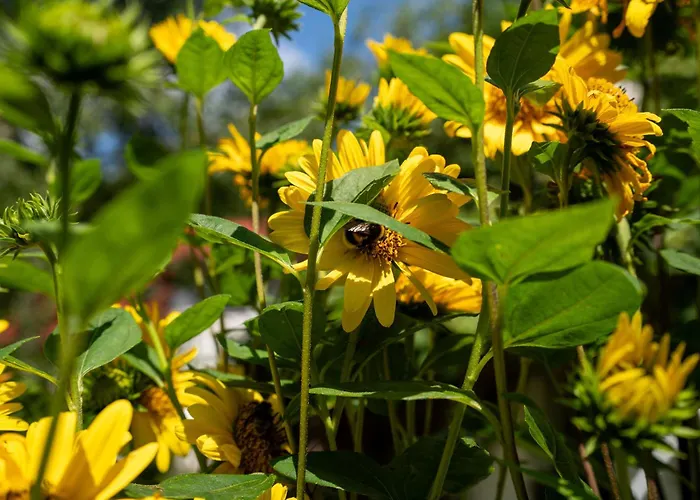 Behling Am Schufutsberg Apartmán Liepe (Brandenburg)