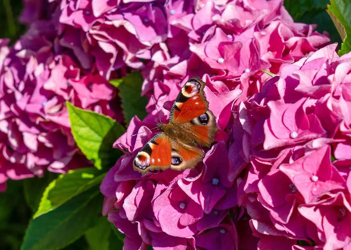 Apartmán Behling Am Schufutsberg Liepe (Brandenburg)