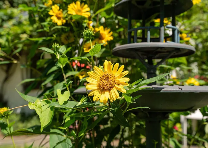 Behling Am Schufutsberg