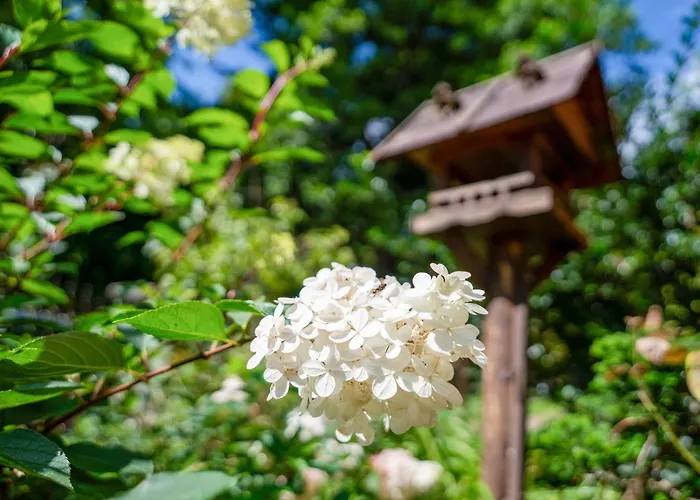 Apartmán Behling Am Schufutsberg *
